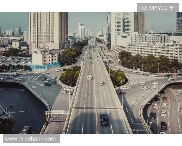 数据分析:武汉极限运动队的技术表现